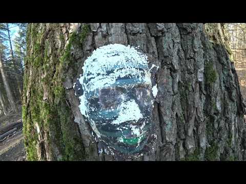 Der Rheinburgenweg 2. Etappe Von Remagen nach Sinzig mit Special Guest😉