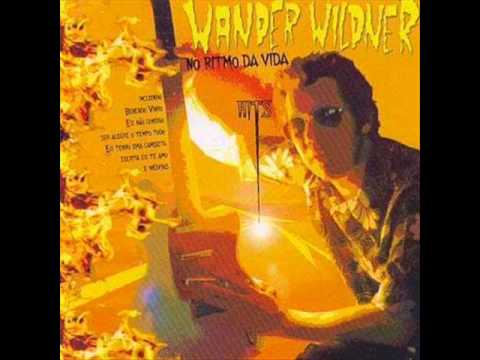 Ensaístico - Wander Wildner