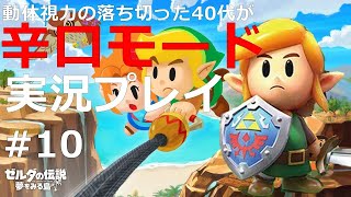 #10【監督】【ゼルダの伝説夢を見る島】動体視力の落ち切った40代が辛口モード実況プレイ
