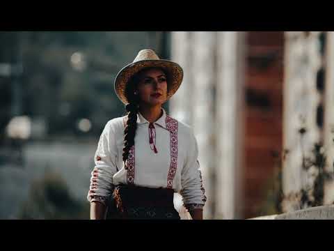 Cântă cucul, bată-l vina (AI Cover)