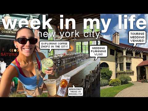 Brookemarkhaa