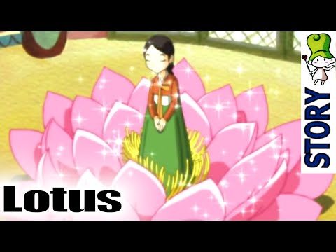 Lotus (Shim Cheong)  - Bedtime Story (BedtimeStory.TV)