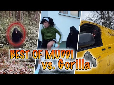 Best of Muddi vs. Muddi Gorilla 😳🦍 MauriiPastore