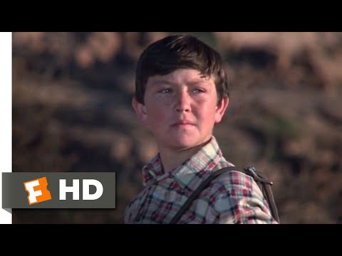The Black Stallion Returns (1983) - He Belongs Here Scene (12/12) | Movieclips