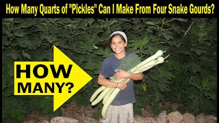 How Many Quarts of Pickles Can I Make From Four Snake Gourds?