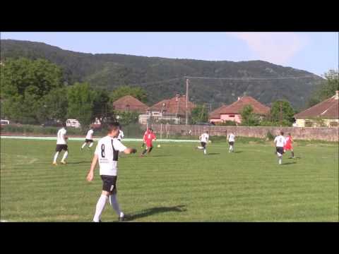 CS CETATE SAVIRSIN   CS GLOGOVAT 2013 20 05 2017 SCOR 2 3