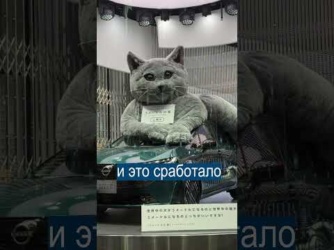 Ниссан Сделал Машину- Кота