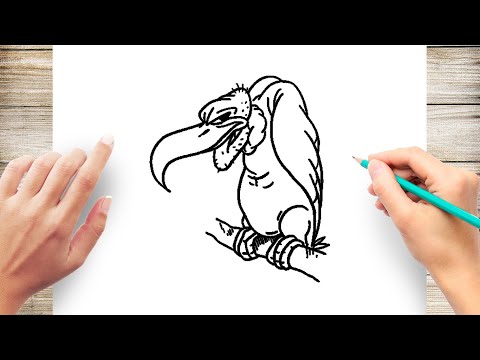 How To Draw A Cartoon Vulture Step by Step