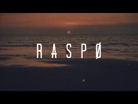 Rag'n'Bone Man - Skin (Raspo Remix)