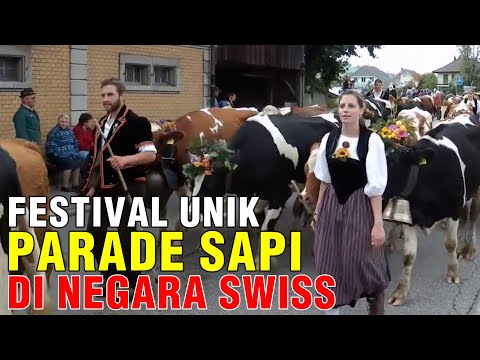 , title : 'Festival Unik Parade Sapi Di Negara Swiss'
