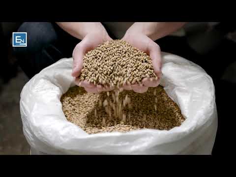 Kjo qe po i bej vellait tim nuk eshte e drejte! Merr mesim nga ngjarja e 2 vellezerve fermere!