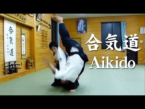 合気道‐技紹介　Aikido Techniques