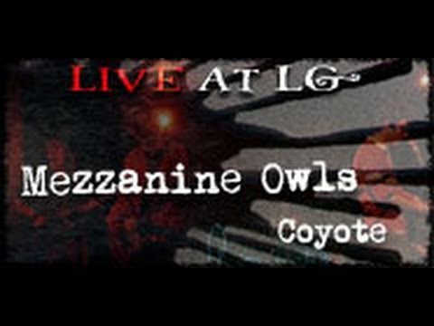 Mezzanine Owls- Coyote