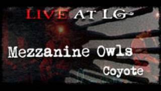 Mezzanine Owls- Coyote