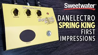ギター DANELECTRO / DSR-1 SPRINGKING 愛すべきアホ・リバーブ：Danelectro Spring King DSR-1レビュー