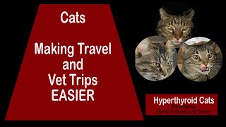 How to Make Travel and Vet Trips with Your Cat Easier
