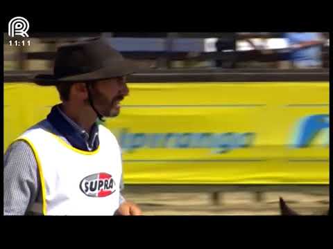 Bocal de Ouro Esteio (RS) – 5° lugar machos – Buenacho da Gema