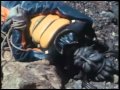 Lion Man Completo Ep 09 Na Íntegra