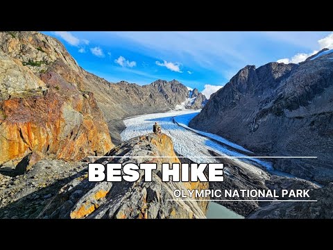 Hoh Rainforest to Blue Glacier | AMAZING Hike in Olympic National Park