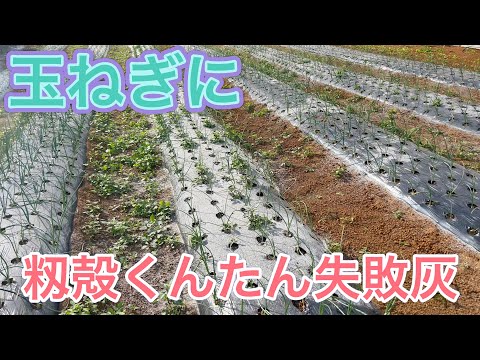 木の根元に灰を置いてもいいでしょうか？何のために ？特典＋申込方法  庭園