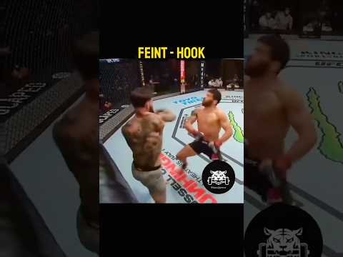Feint – Hook 🥊 #mma #boxing #martialarts #training #usa