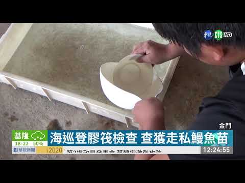 走私香菇.鰻魚苗 遭金門海巡查獲