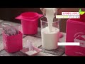 Jogurto gaminimo aparatas Yogurberry