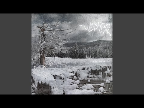 Winterdepression II
