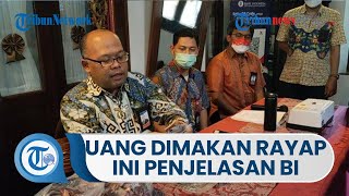 Bisakah Uang Diganti akibat Rusak Dimakan Rayap? Berikut Kategori Uang yang Bisa Diganti oleh BI