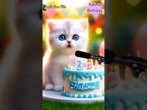 HALIMA HAPPY BIRTHDAY | HAPPY BIRTHDAY SONG WITH NAMES | Adorable Cute Cat 😺 #cat #happybirthday