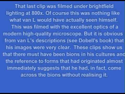 Natural History of the Bion 1