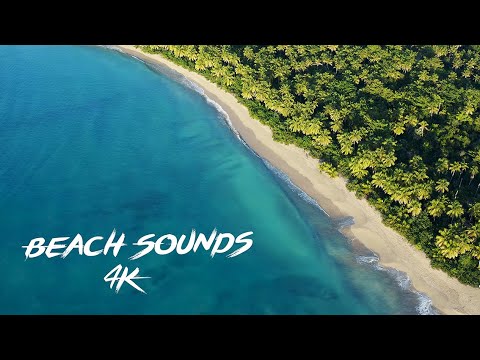 4K HDR Tropical Beach