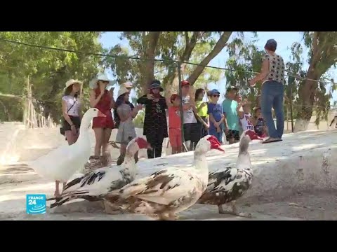 السياحة البيئية مجال جديد لدعم القطاع السياحي التقليدي في تونس