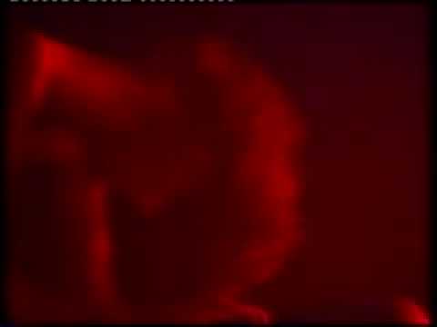 Vultures - Snow Live 11.04.2002.avi