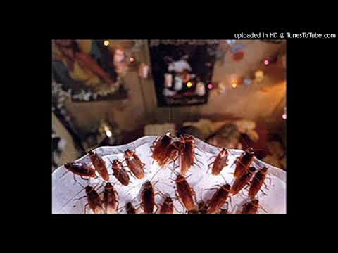 El Truco De Quien Es Más Grande