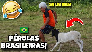 AS MELHORES PÉROLAS BRASILEIRAS 🇧🇷 | TENTE NÃO RIR 😂
