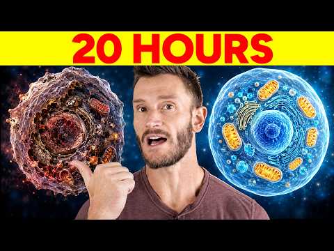 I Wish My Doctor Showed What 20 Hours With No Food Does to Cellular Repair