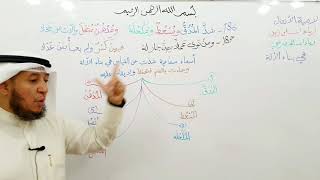 صورة لامية الأفعال ( 186-187)