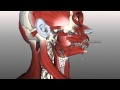 Tongue Muscles and the Hyoid Bone
