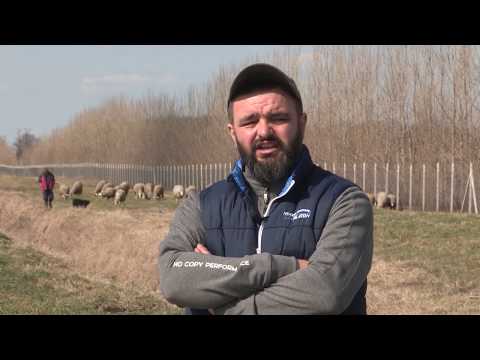 Imamo rešenje ep. 43 16.03.2020. NAJAVA