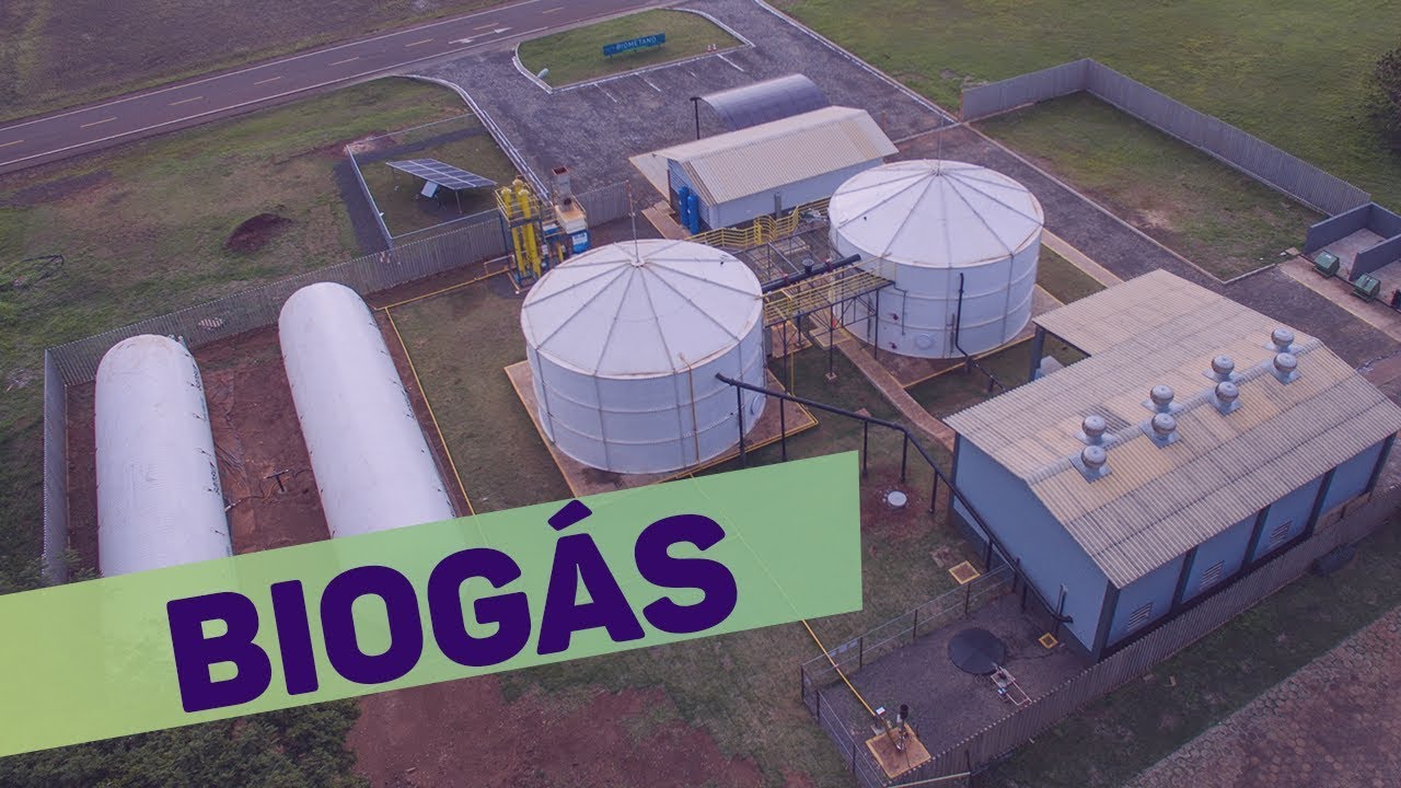 Biogás: opção renovável para produção de energia
