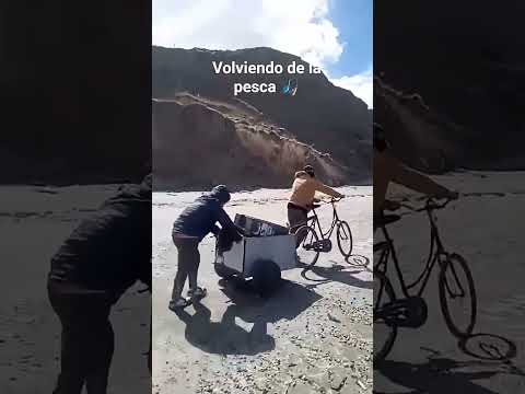 "Volvimos con POCO cornalito | Así es la pesca real en Comodoro"