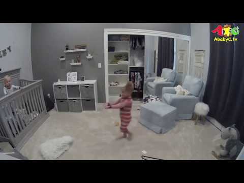 This Adorable Scene Has Stolen the Everyone's Heart!