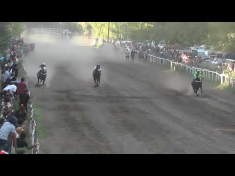 SAIMON Club Hípico "Riveras Neuquinas" Vista Alegre, Domingo 16 de Marzo de 2025