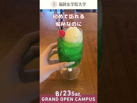 現代文化学科 ✨池田ゼミ プレ写真展開催ー展示の見どころをご紹介♡〜高知チーム〜ー！！✨