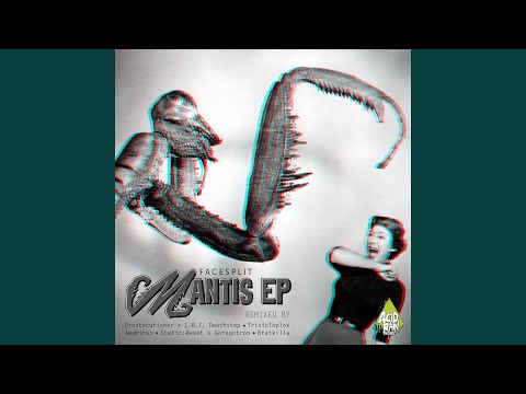 The Mantis (Prostecutioner X 1.8.7. Deathstep Remix)