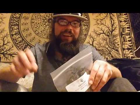 Visiting Salvia Divinorum with raw leaves & torch #1.  121818