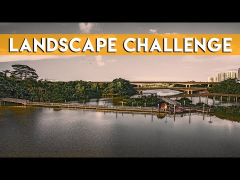 Landscape Photography Challenge: Nikon Z6II vs Panasonic G9 vs Canon EOS RP: Which is the BEST?