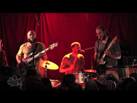 Akron/Family - Everyone Is Guilty (Live in Sydney) | Moshcam