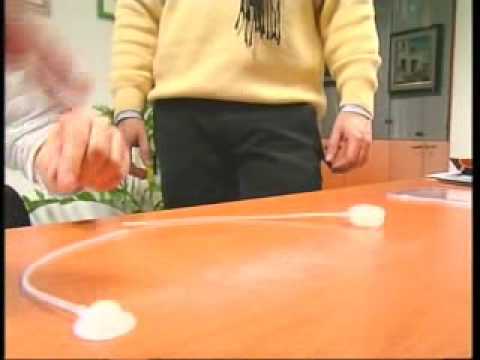 Dimensioni della prostata BPH Fa i semi di zucca da giudizi prostatite